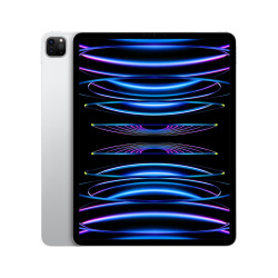 iPad APPLE MNXQ3LZ/A 